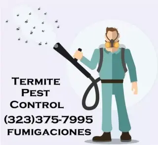 FUMIGADORES PROFESIONALES 24/7