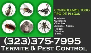FUMIGADORES PROFESIONALES 24/7