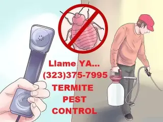 FUMIGADORES PROFESIONALES 24/7
