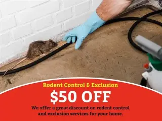RODEN EXTERMINATION