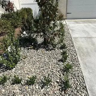 Creative Landscaping