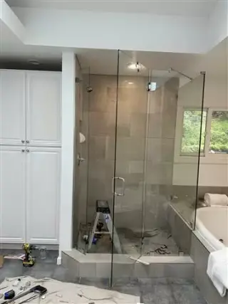 Ventanas y shower door