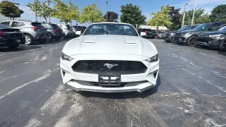 2023 FORD MUSTANG