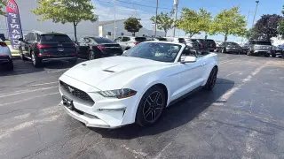 2023 FORD MUSTANG