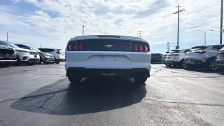 2023 FORD MUSTANG