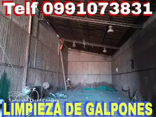 Limpieza de Pisos de Granitos