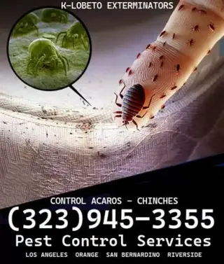 PEST CONTROL SERVICES 24/7.-