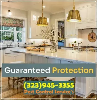 PEST CONTROL SERVICES 24/7.-