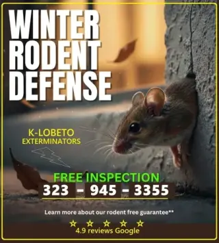 PEST CONTROL SERVICES 24/7.-
