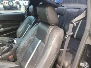 Ford Mustang 2010 GT Premium 2p Fastback