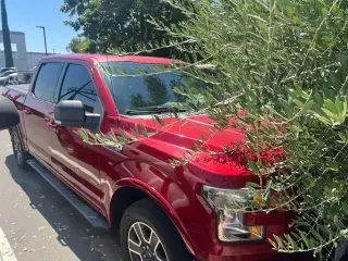 Ford F-150 2016 4x2 XLT 4p SuperCrew 5.5 pies SB