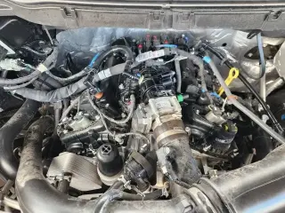 Ford F-150 2025 4x2 STX 4p SuperCrew 5.5 ft. SB