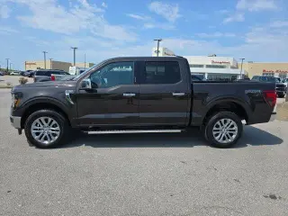 Ford F-150 2024 4x4 XLT 4p SuperCrew 6.5 ft. SB