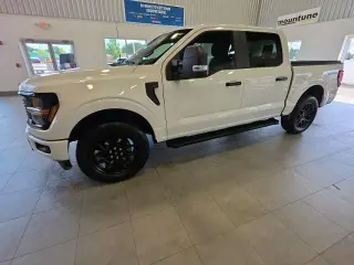 Ford F-150 2024 4x4 STX 4p SuperCrew 5.5 ft. SB