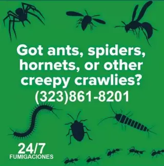 PEST CONTROL NEAR ME...ANAHEIM