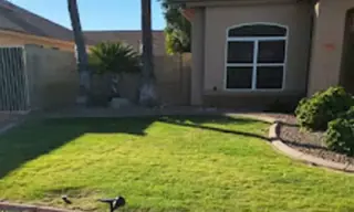 Francisco Landscaping