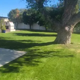 Francisco Landscaping