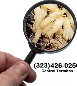 *TERMITE CONTROL GARANTIZADOS*