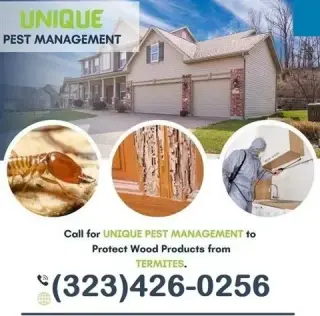 *TERMITE CONTROL GARANTIZADOS*