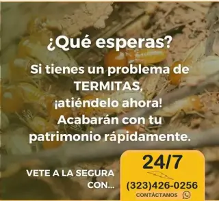 *TERMITE CONTROL GARANTIZADOS*