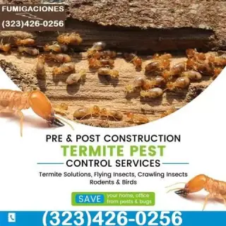 *TERMITE CONTROL GARANTIZADOS*