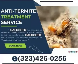 *TERMITE CONTROL GARANTIZADOS*