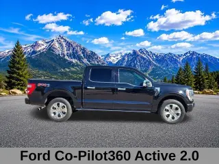 Ford F-150 2022 4x4 Platinum 4dr SuperCrew 5.5 ft. SB