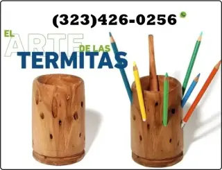 TERMITE CONTROL NEAR ME 24/7.-
