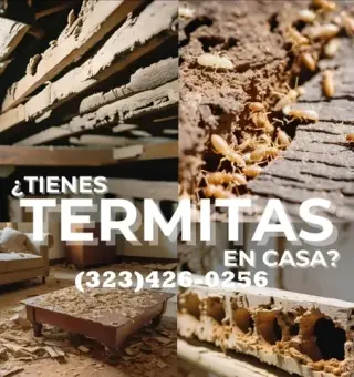 TERMITE CONTROL NEAR ME 24/7.-