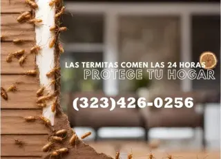 TERMITE CONTROL NEAR ME 24/7.-