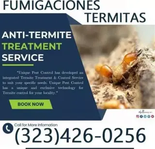 Termite Control100%Garantizado