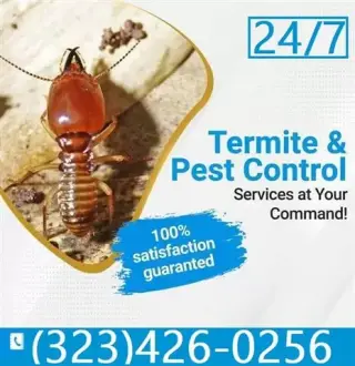 Termite Control100%Garantizado