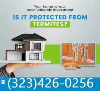 Termite Control100%Garantizado