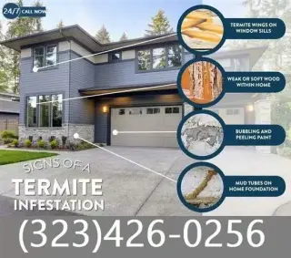 Termite Control100%Garantizado