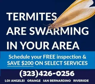 Termite Control100%Garantizado