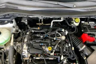Ford Escape 2022 SE 4dr SUV