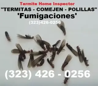 FUMIGACIONES TERMITAS 24/7.-