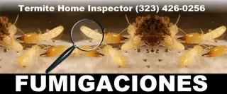 FUMIGACIONES TERMITAS 24/7.-