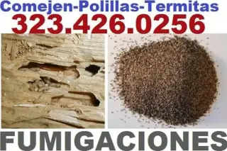 FUMIGACIONES TERMITAS 24/7.-