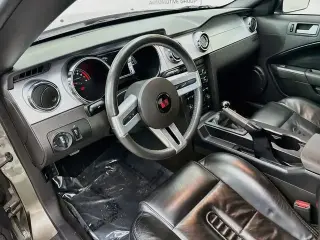 Ford Mustang 2005 GT Premium 2p Fastback