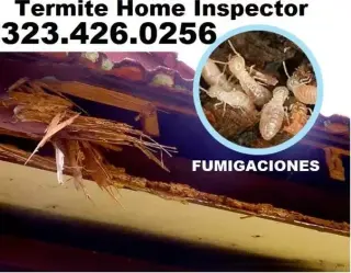 TERMITAS FUMI-GAS(323)426-0256