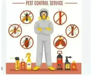 PIÑAS PEST CONTROL🦟🐀🐛