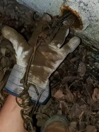 PLOMERO  EN MI AREA
