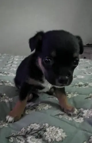 Nori