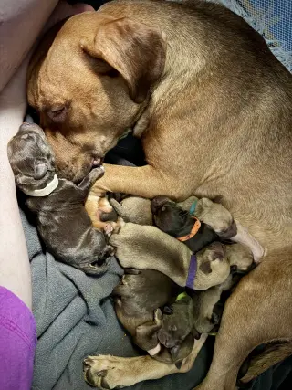 Mama Marie