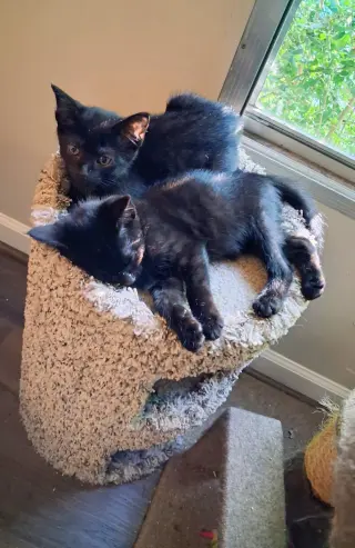 Ernest & Cecil