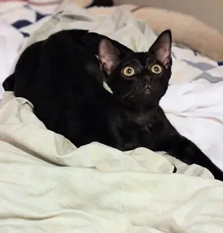 Cecil & Ernest