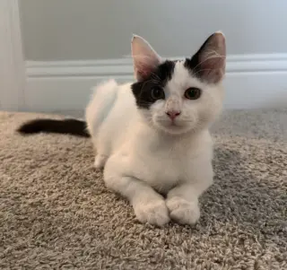 Tabasco