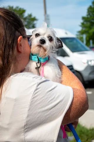 Sweetheart - Adoption Pending