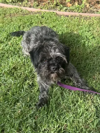 Oscar